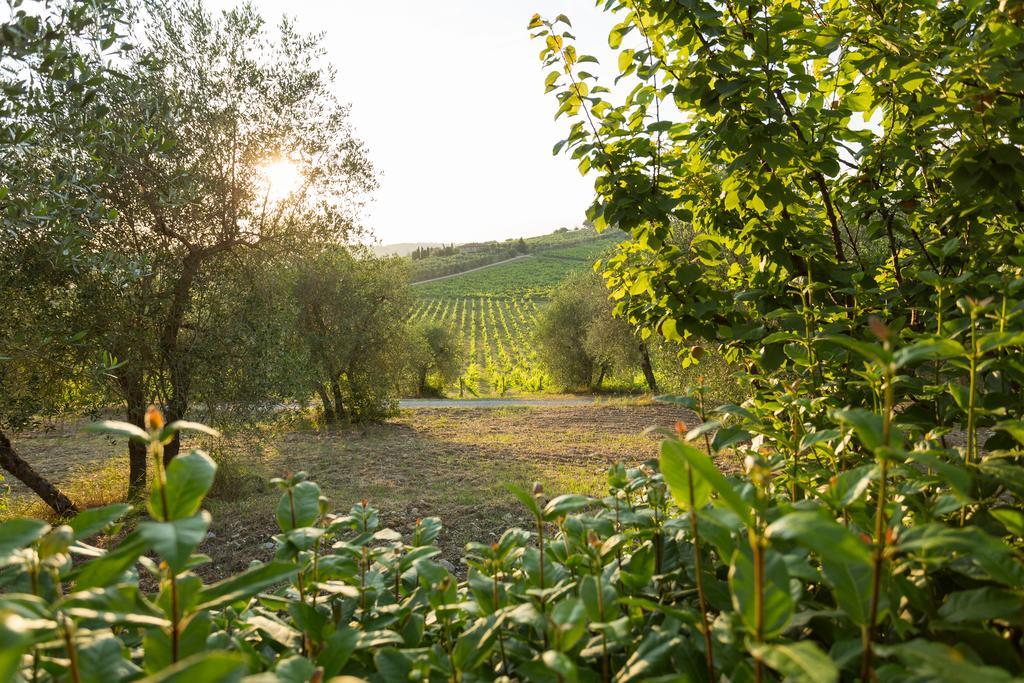 Tenuta Di Monaciano Ponte A Bozzone Exterior foto