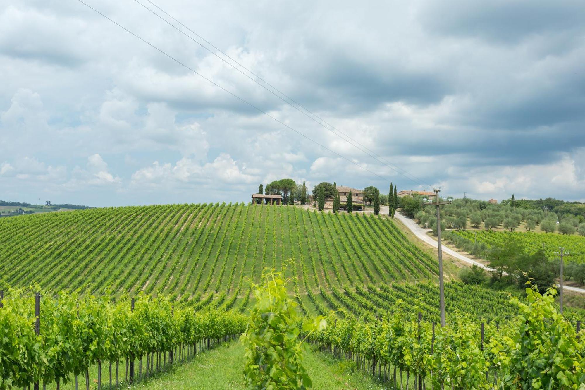 Tenuta Di Monaciano Ponte A Bozzone Habitación foto