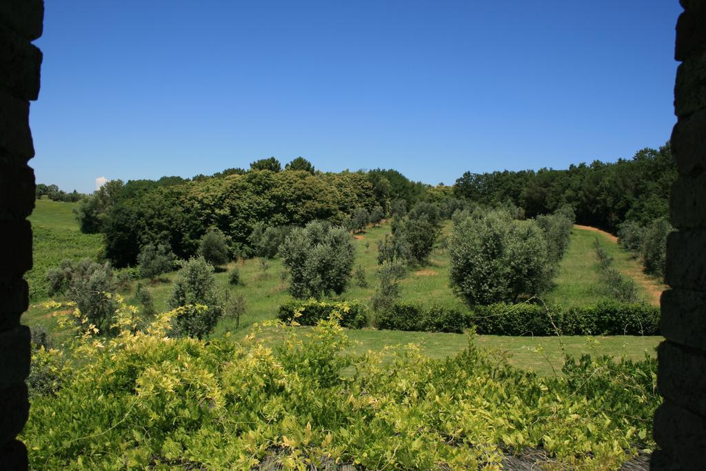 Tenuta Di Monaciano Ponte A Bozzone Habitación foto