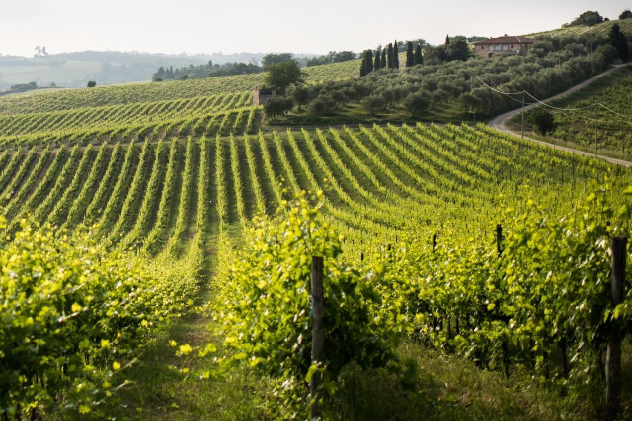 Tenuta Di Monaciano Ponte A Bozzone Exterior foto